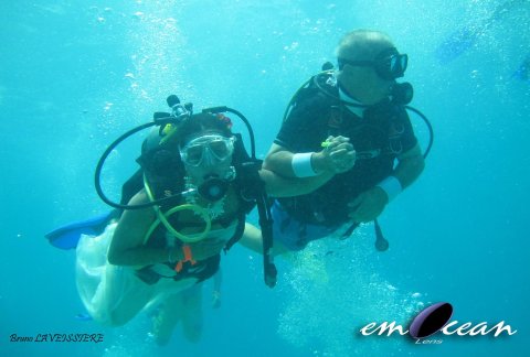 Buceo en Riviera Maya