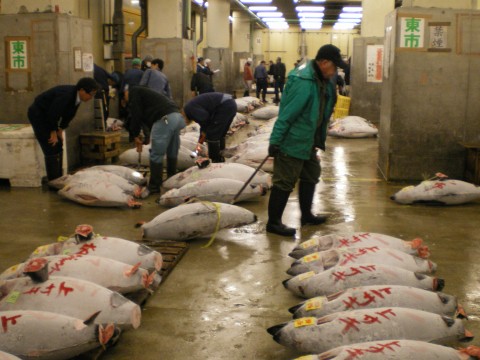 Subasta atun Tsukiji