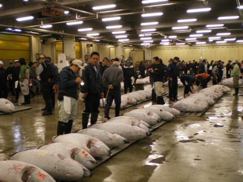Mercado de Tsukiji