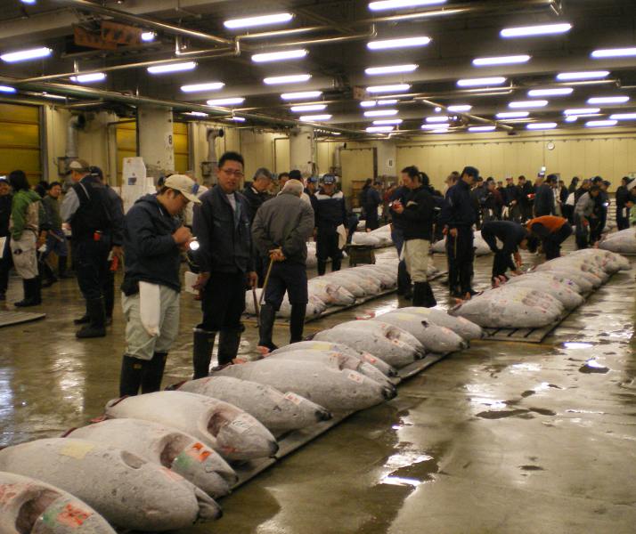 mercado tsukiji