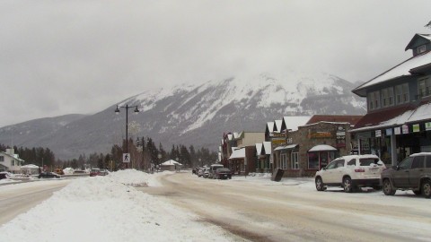 Jasper Jasper