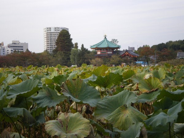 Ueno