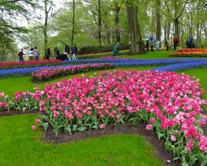 Keukenhof